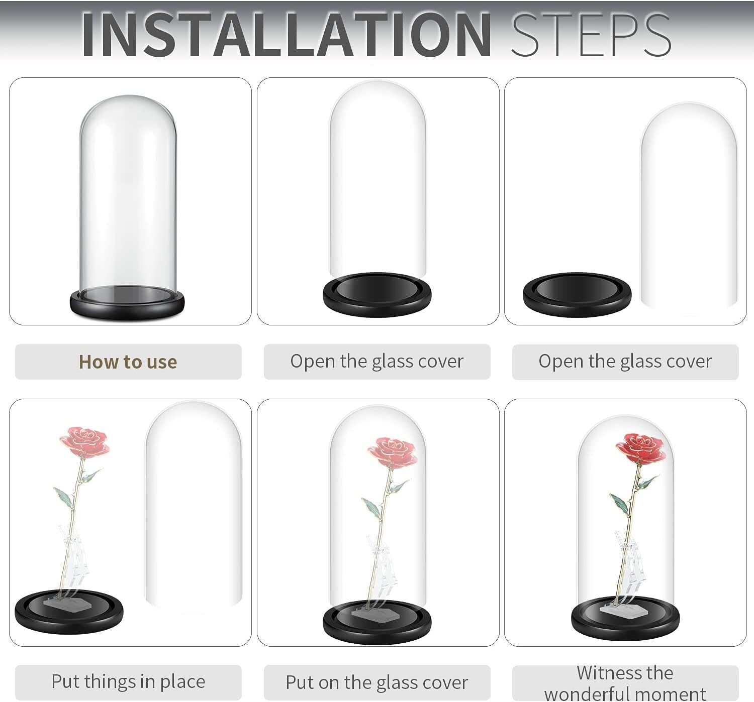 Elegant 13" Glass Display Dome on Black Wood Base for Collectibles & Figurines