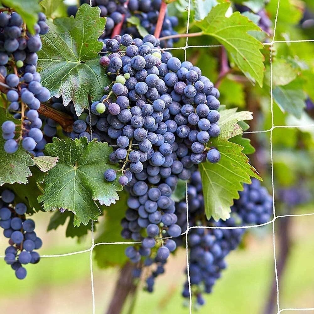 Easy-Install Trellis Netting for Indoor/Outdoor Climbing Plants – 4 Pack, 6'x30'