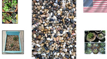Load image into Gallery viewer, Versatile 40 LB Natural Mixed Pebbles - Enhance Your Home and Garden Aesthetics