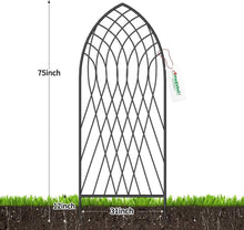 Load image into Gallery viewer, Amagabeli 2 Pack Large Metal Garden Trellis 75” x 31” - Elegant Plant Support