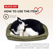 Load image into Gallery viewer, 10.75 Inch Lifelike Stuffed Black &amp; White Kitten - Ideal for Pet Lovers and Kids