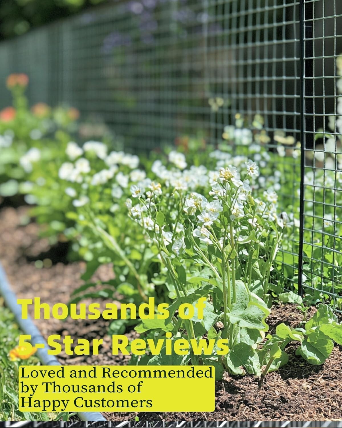 Eco-Friendly 1/4 Inch Galvanized Wire Mesh Roll - 48" x 50' with Gloves Included