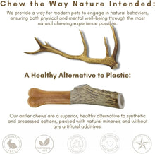 Load image into Gallery viewer, Odorless Antler Dog Chews Set - 3 Pack of Long-Lasting Chews for Large Breeds