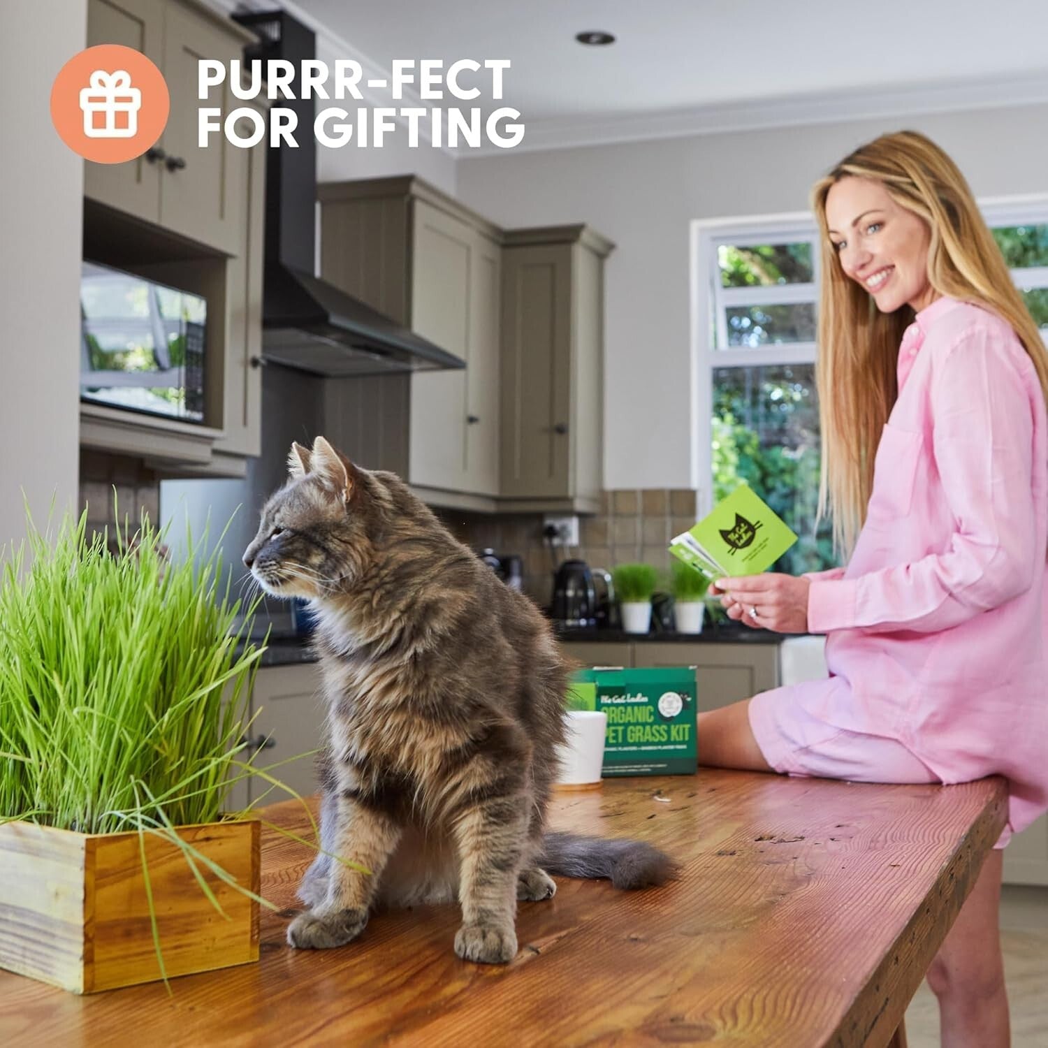 Elegant Cat Grass Kit in Rustic Wood Planter - Nourish & Decorate Your Home