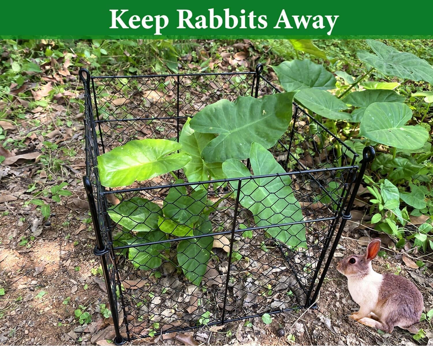Innovative 3-Piece Plant Protectors: 13.8" Cages to Safeguard Your Vegetables