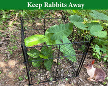 Load image into Gallery viewer, Innovative 3-Piece Plant Protectors: 13.8" Cages to Safeguard Your Vegetables