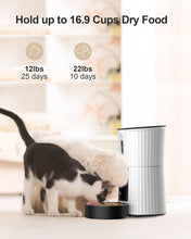 Load image into Gallery viewer, BPA-Free Wi-Fi Dry Food Dispenser for Cats &amp; Small Dogs - 20 Days of Freshness