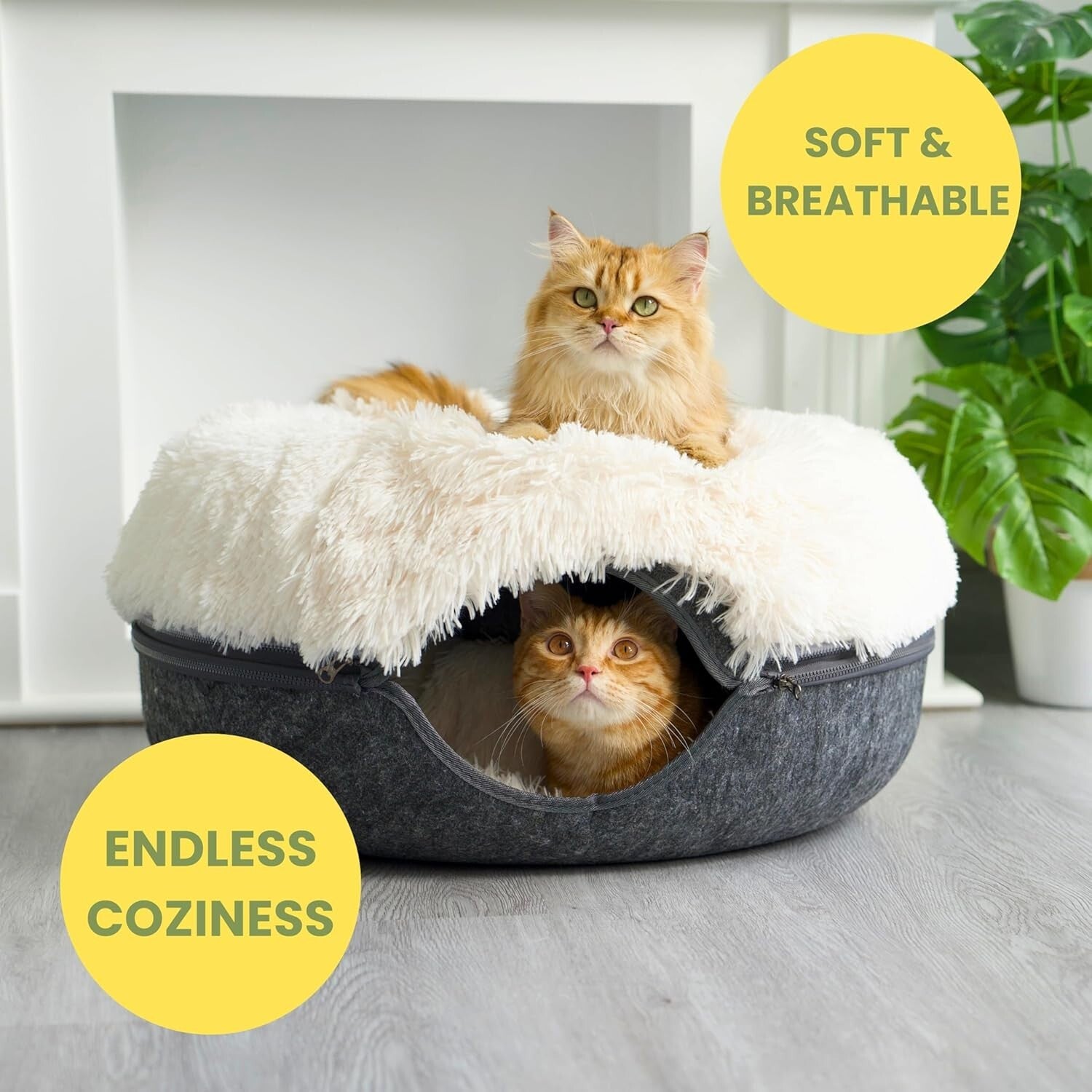 Comfy Cat Cave with Interactive Peephole - Perfect for Multi-Pet Households