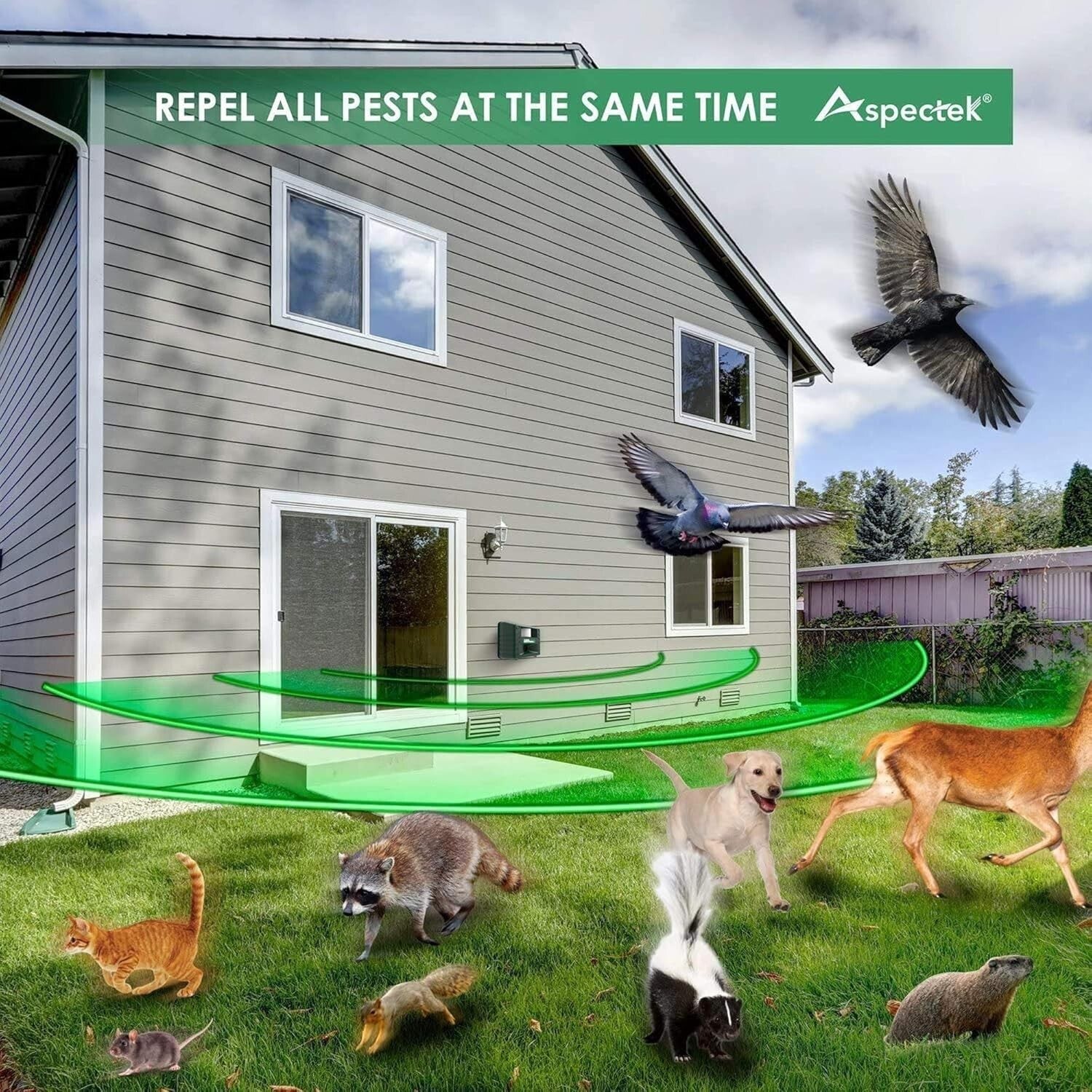 Yard Sentinel 2-Pack Ultrasonic Animal Repeller: Effective Outdoor Pest Control