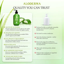 Load image into Gallery viewer, Hydrating Aloe Vera Gel - 99% Organic Formula for Face, Body &amp; Scalp, 3-Pack