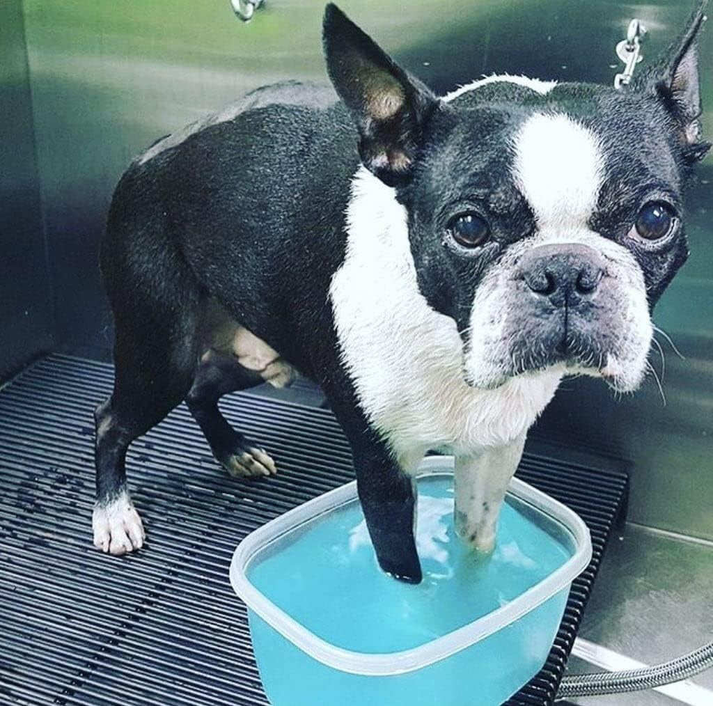 Natural Dog Paw Soak Balls - Eliminate Licking & Soothe Itchy Paws Effectively