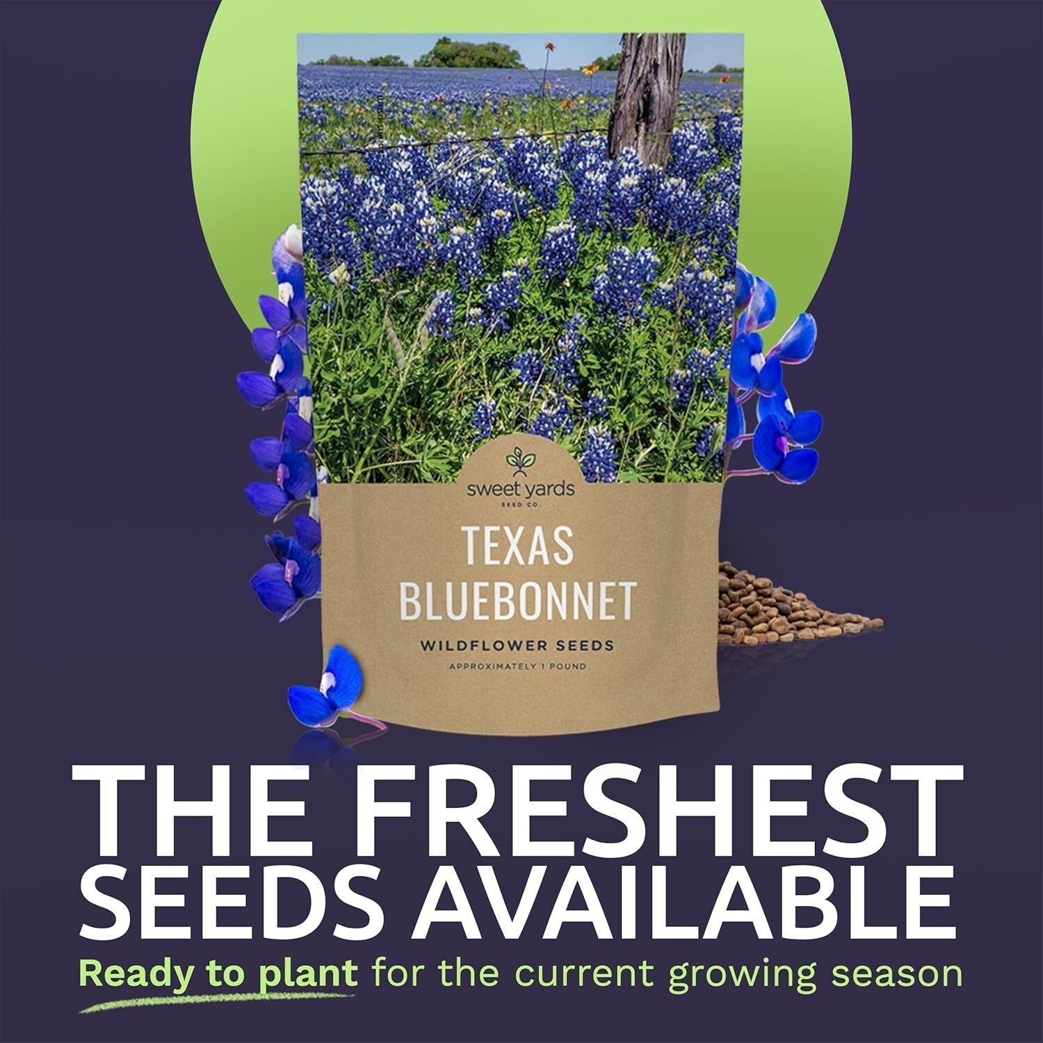 Guaranteed Growth 1 lb Texas Bluebonnet Wildflower Seeds - Perfect Garden Gift