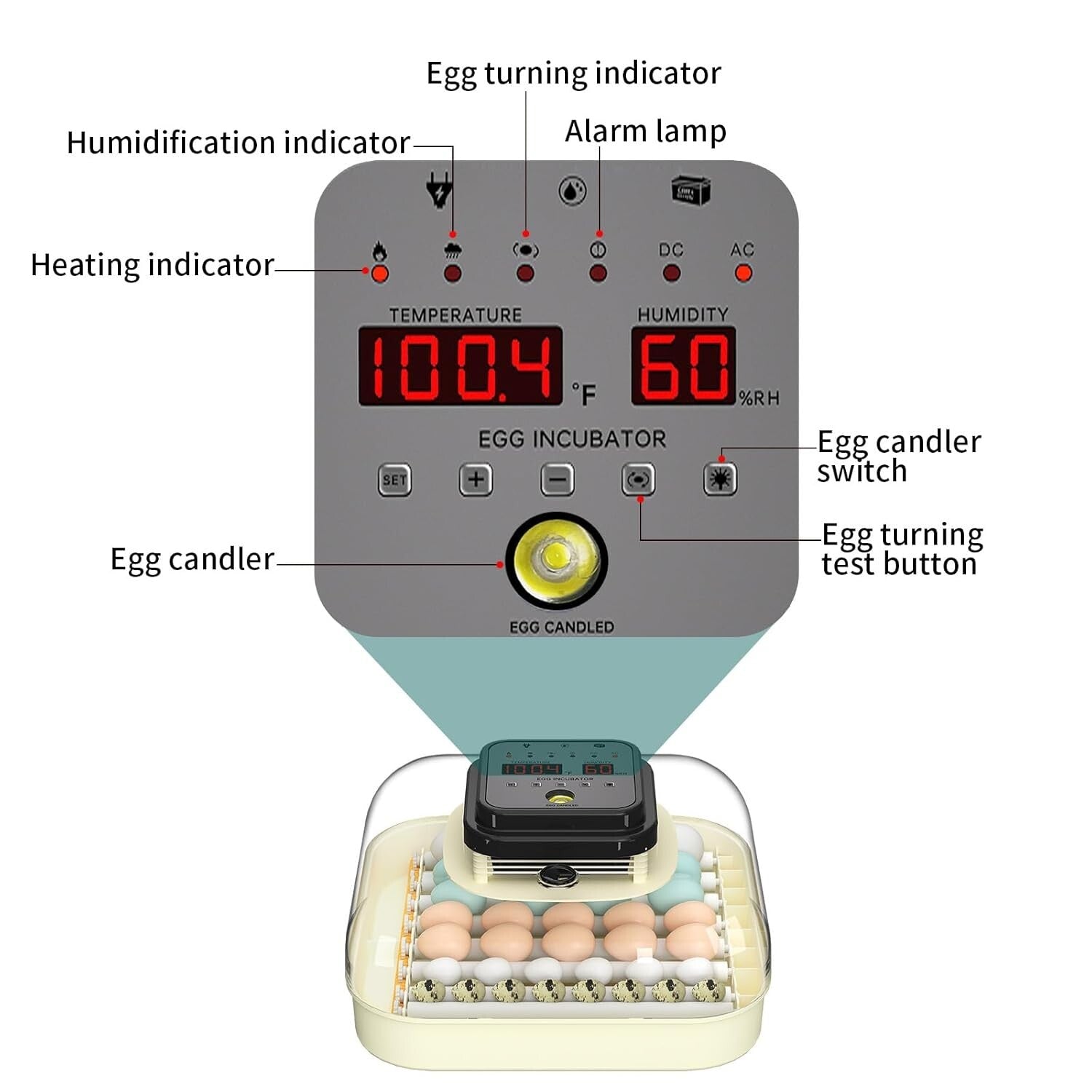 Efficient 35 Egg Incubator: Automatic Turning, Humidity Control & Visual Design