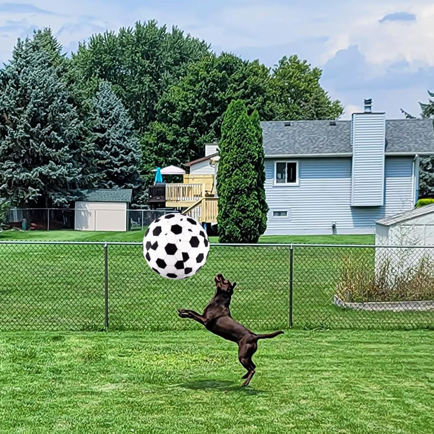 Durable 20" Dog Herding Ball with Cover & Pump - Engaging Play for All Pets