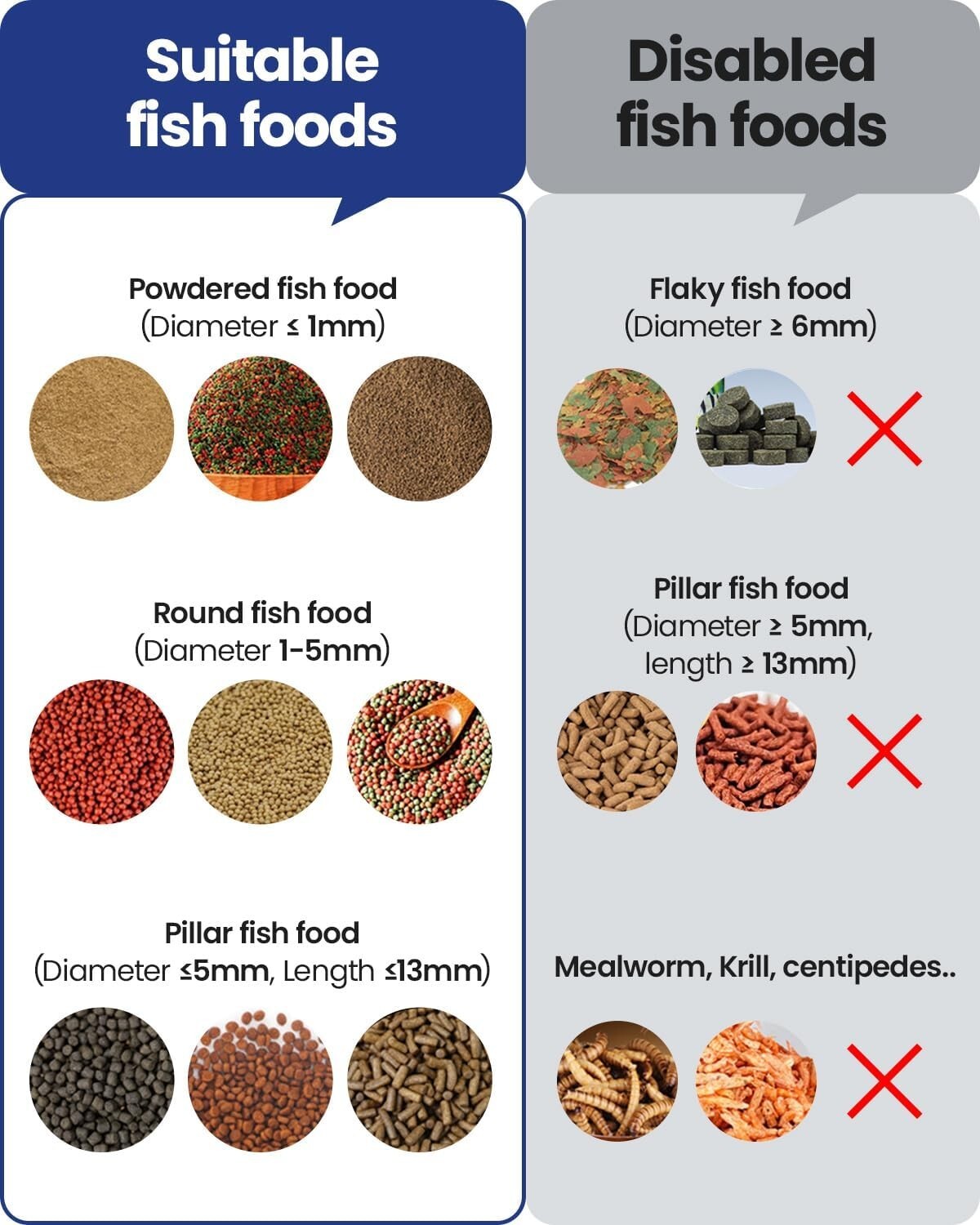 2.4G Precision Fish Feeder with Visual Monitor for Betta and Goldfish Aquariums