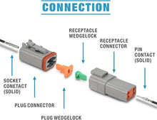 Load image into Gallery viewer, Deutsch DT Connector Kit - Waterproof 2-12 Pin Way, 519-Piece Set for Automotive