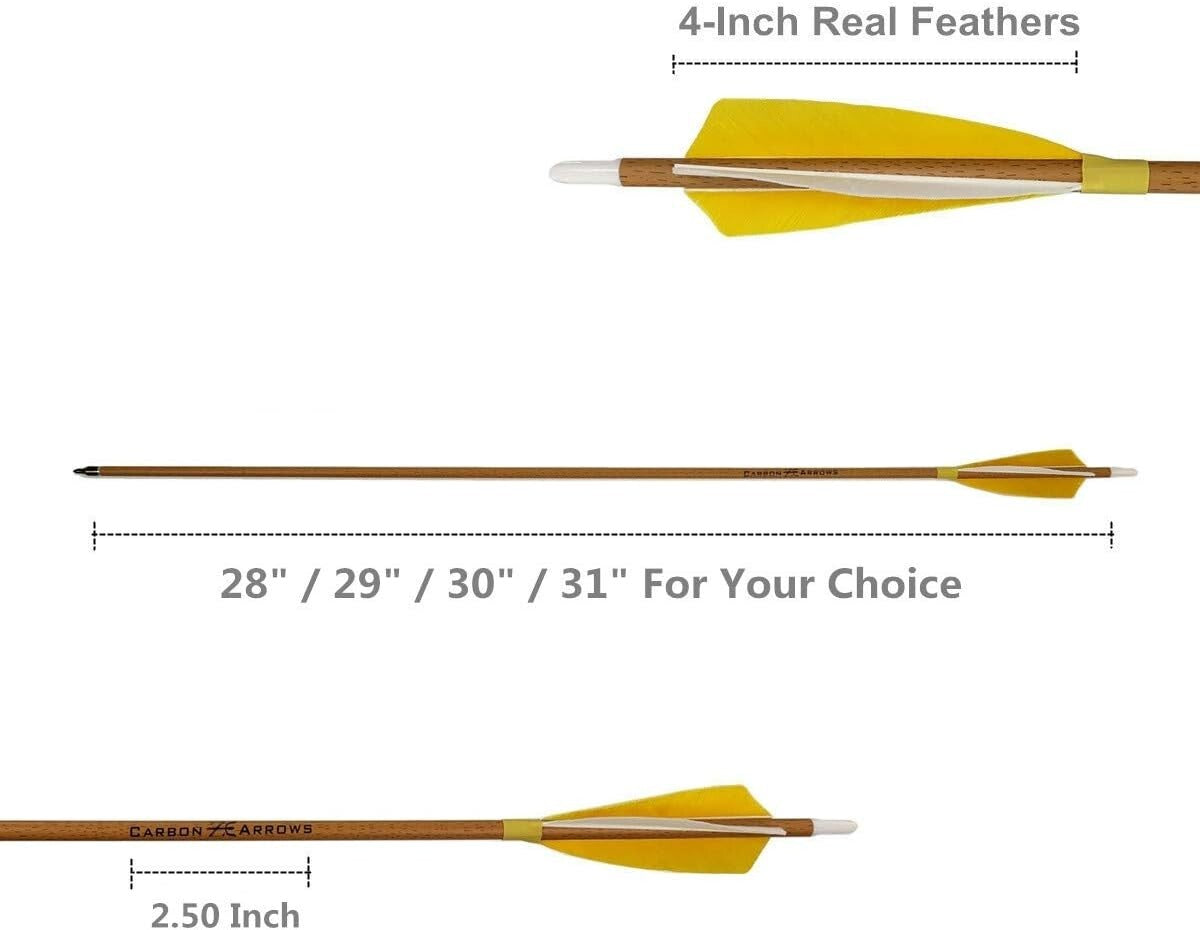 6-Pack 28-Inch Carbon Arrows with Natural Fletching for Compound & Recurve Bows