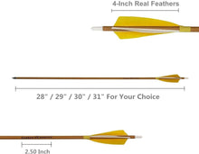 Load image into Gallery viewer, 6-Pack 28-Inch Carbon Arrows with Natural Fletching for Compound &amp; Recurve Bows