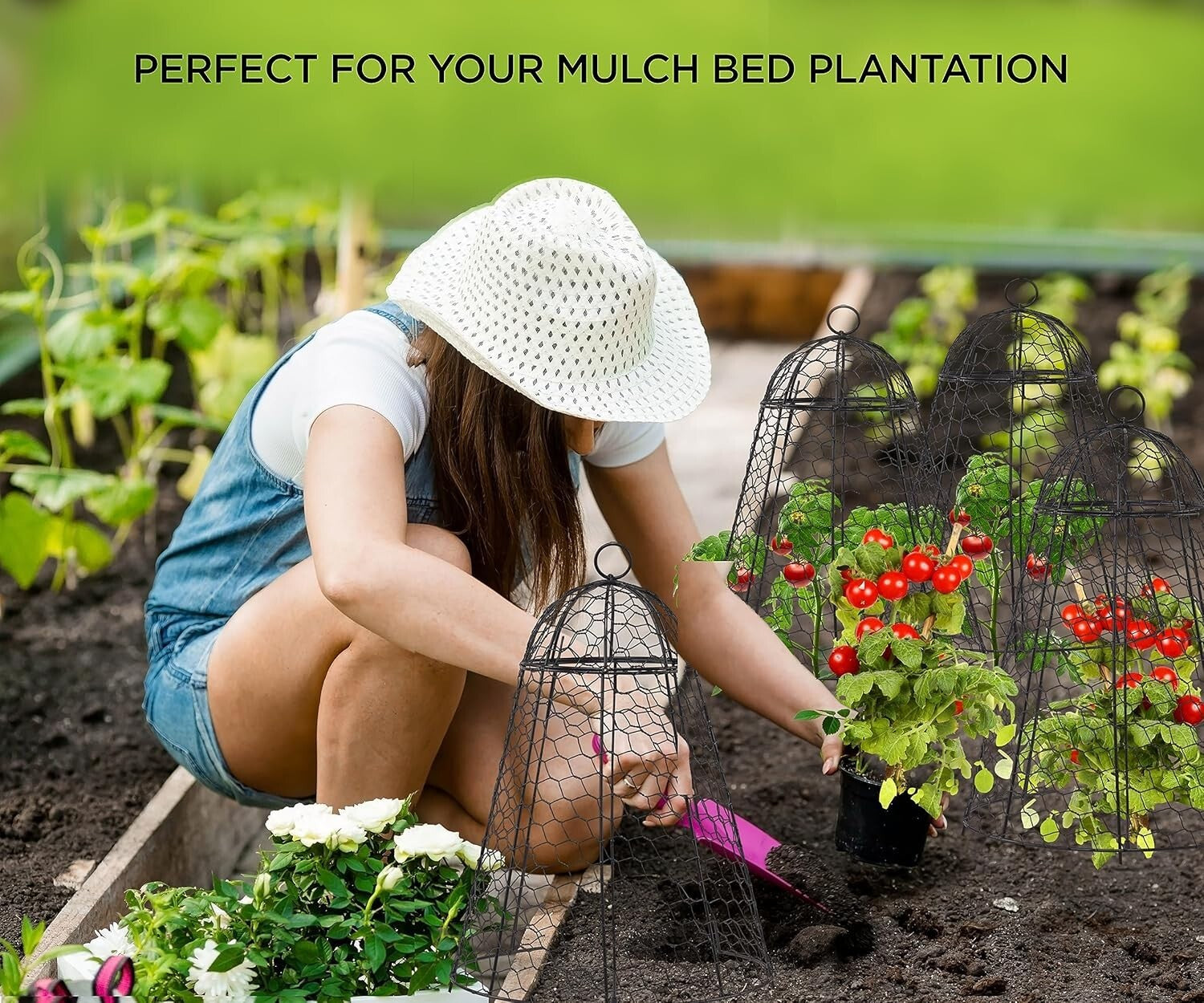 12x20 Inch Rustproof Garden Cloches - Pack of 6 for Ultimate Plant Protection