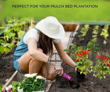 Load image into Gallery viewer, 12x20 Inch Rustproof Garden Cloches - Pack of 6 for Ultimate Plant Protection
