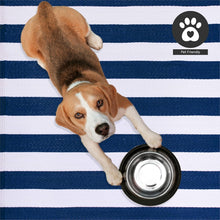 Load image into Gallery viewer, Stain Resistant Outdoor Rug - Waterproof Recycled Plastic, 4x6 ft Blue Stripes