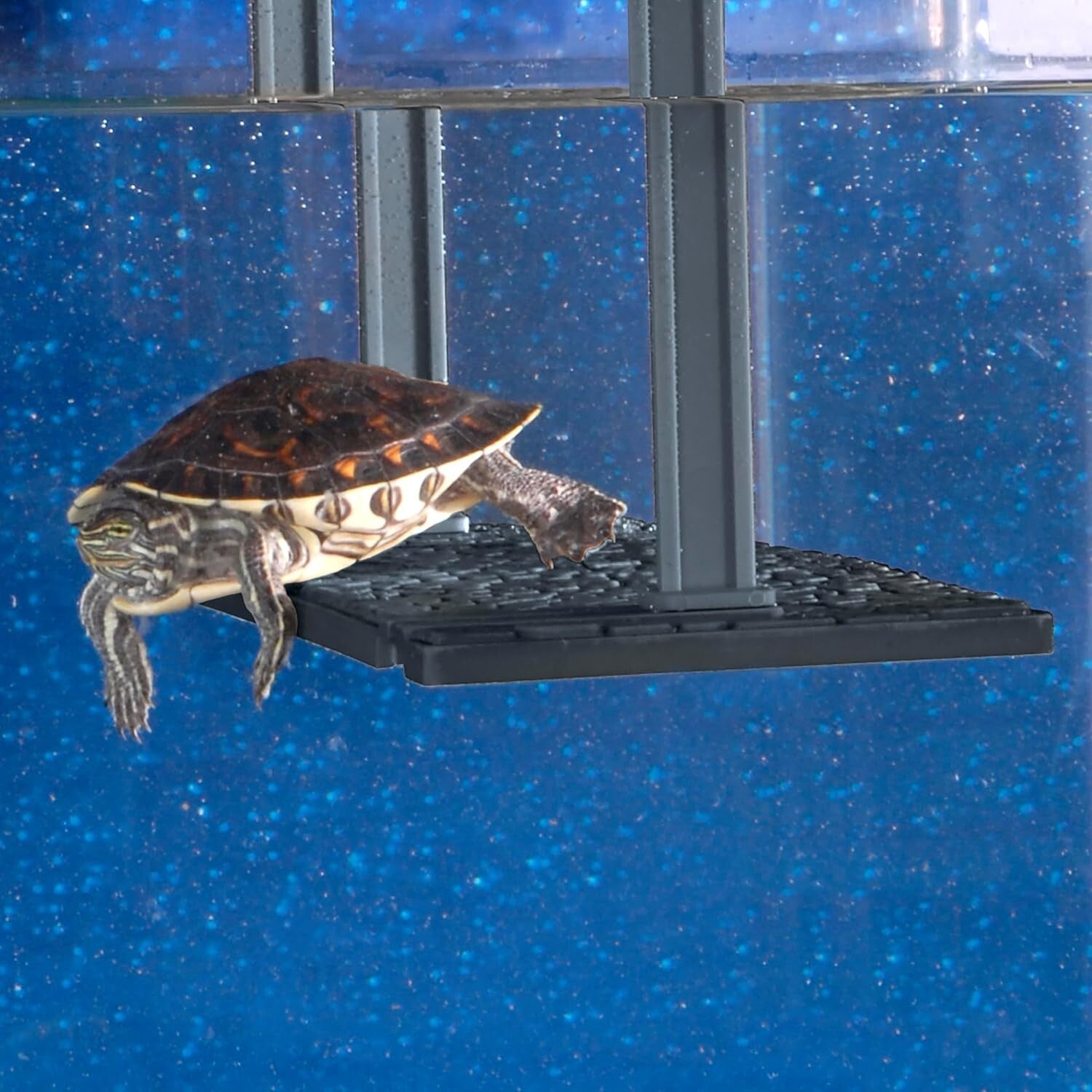 Reptology Black Turtle Topper: Innovative Basking Platform for Standard Tanks
