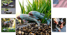 Load image into Gallery viewer, Unique Antique Koi Fish Garden Statues with 2 Iron Poles - Indoor &amp; Outdoor
