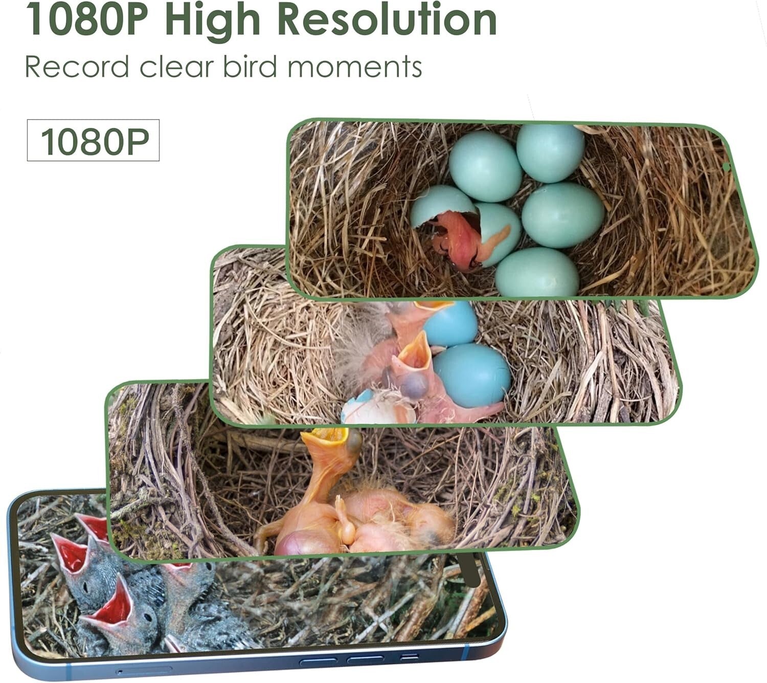 Educational Solar Birdhouse with Auto-Recording Camera for Kids & Nature Lovers