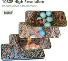 Load image into Gallery viewer, Educational Solar Birdhouse with Auto-Recording Camera for Kids &amp; Nature Lovers