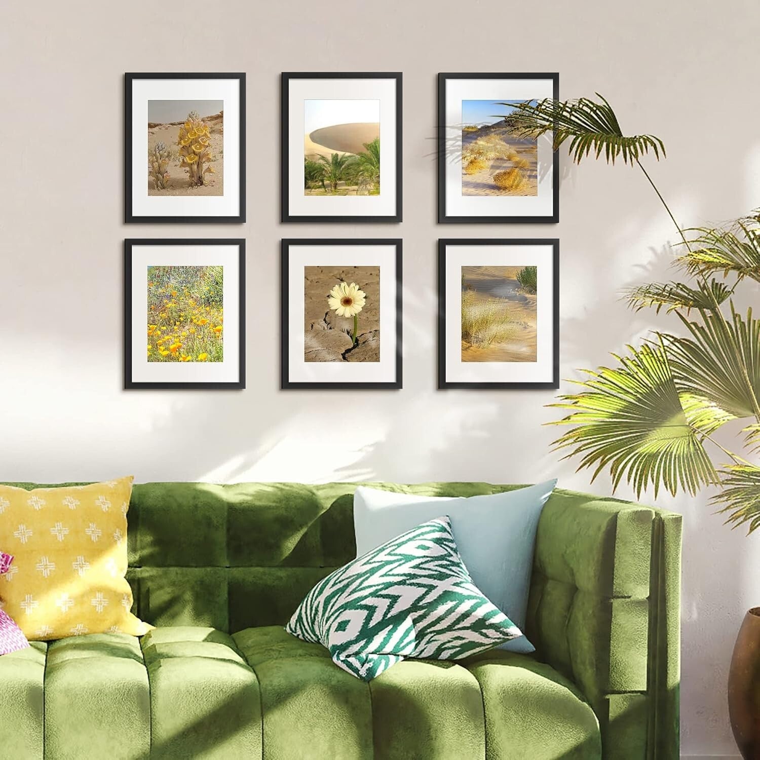 Gallery Wall Ready: 10 Pack of Black 11x14 Photo Frames with Acrylic Finish