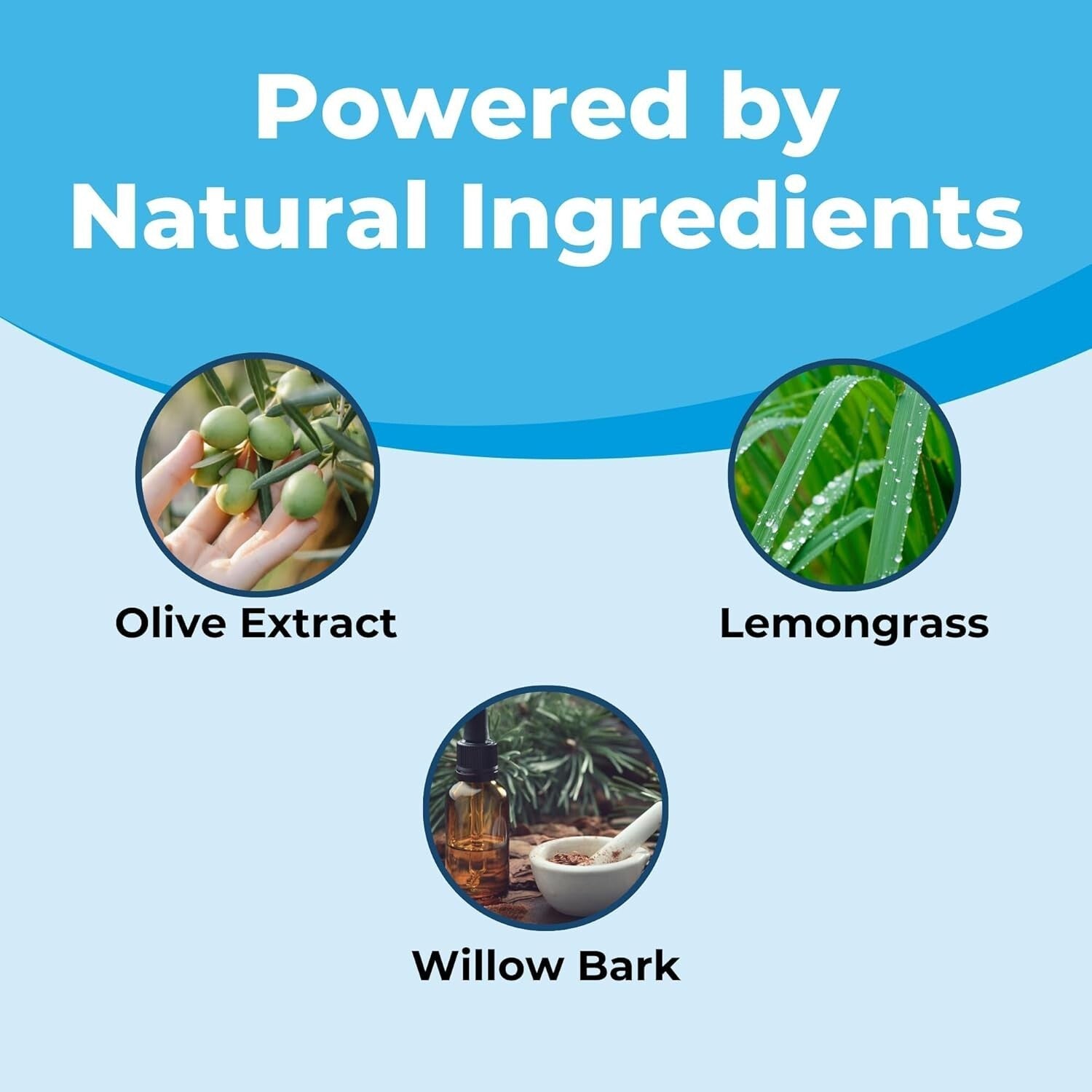 Fast-Acting Organic Ointment for Cold Sores & Herpes Symptoms - 0.5 oz Tube