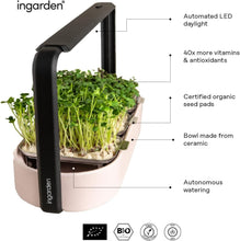 Load image into Gallery viewer, Indoor Hydroponic Microgreens Growing Kit - Eco-Friendly &amp; Fast-Growing Solution