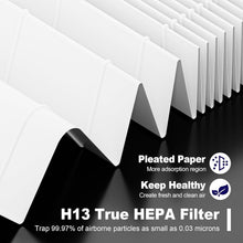 Load image into Gallery viewer, Cost-Effective HEPA Filter Replacement Pack for Winix C535, 5300, 5500 Models