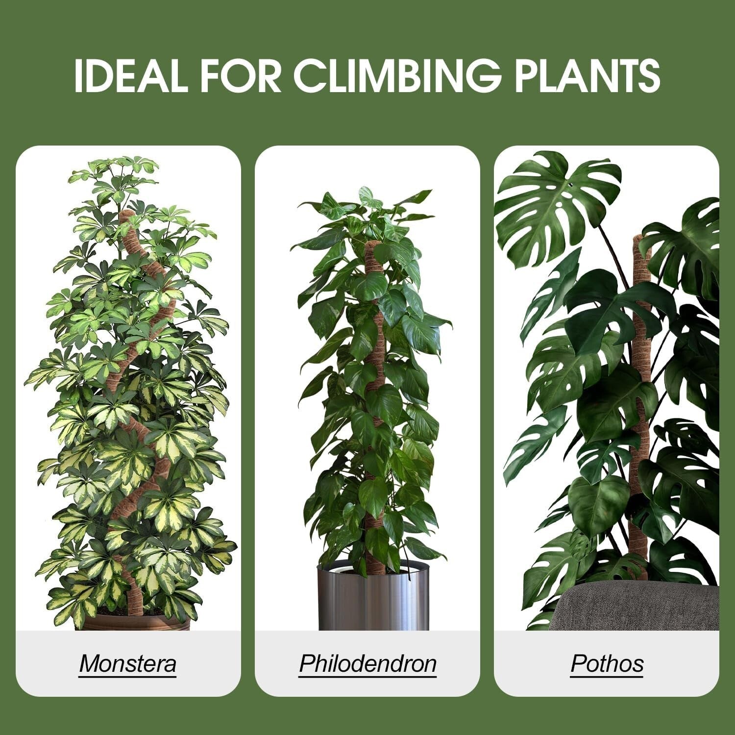 4 Pack Natural Coco Coir Moss Poles - Adjustable Plant Support for Indoor Growth