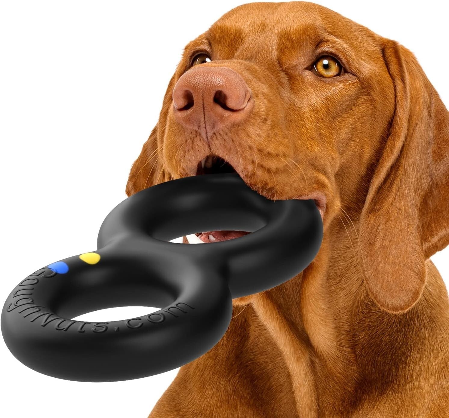 Large Durable Tug Dog Toy for Powerful Chewers - Guaranteed for Life