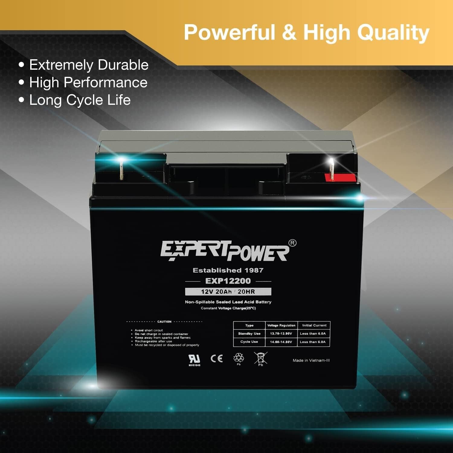 12 Volt 20 Ah AGM Sealed Lead Acid Battery - Maintenance-Free Power Solution