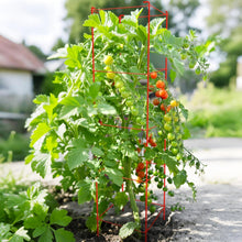 Load image into Gallery viewer, Rustproof 57-Inch Tomato Cages with 164 Ft Twist Ties – Perfect for Garden Use