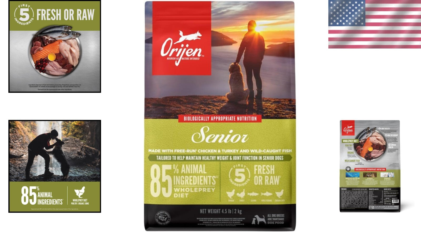 Senior Grain-Free Dry Dog Food, 4.5lb – Supports Joint Health & Healthy Weight