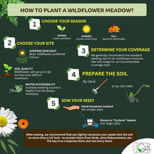 Load image into Gallery viewer, Organic Perennial Wildflower Seed Mix, 1 lb Shaker for Effortless Planting