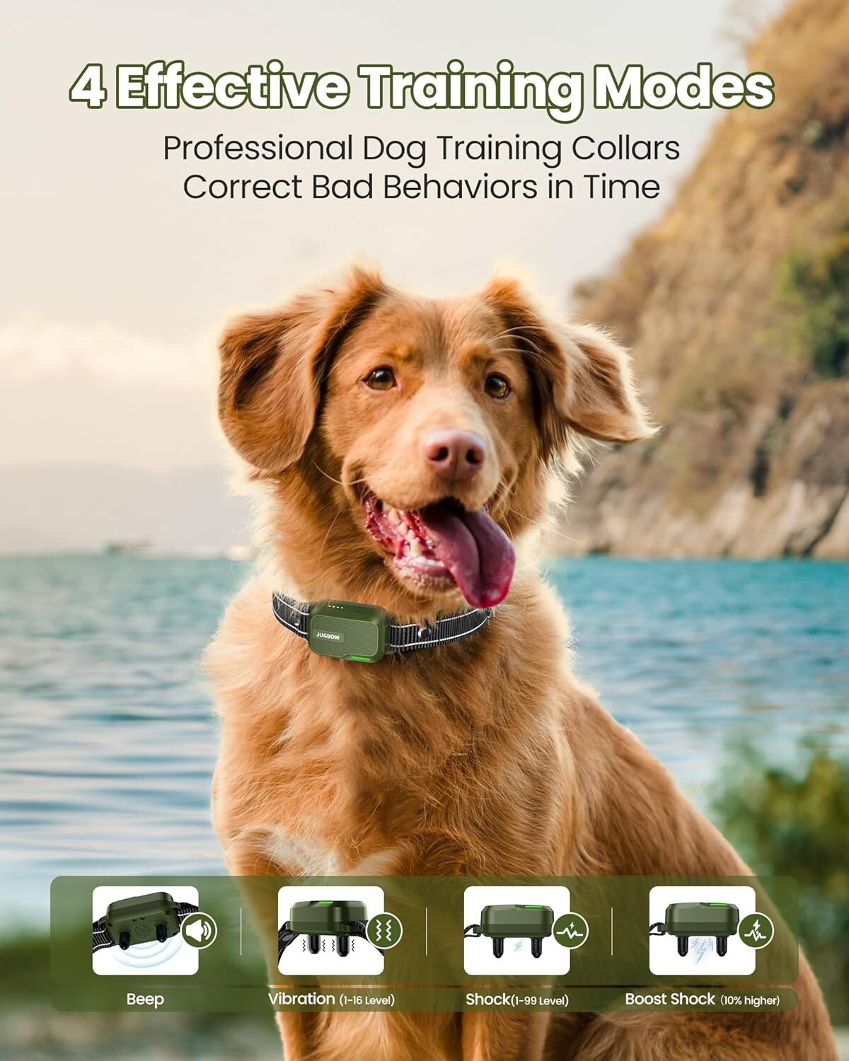 Rechargeable Dog Training Collar with Remote - 4 Modes, 4200FT Range, Safe Shock