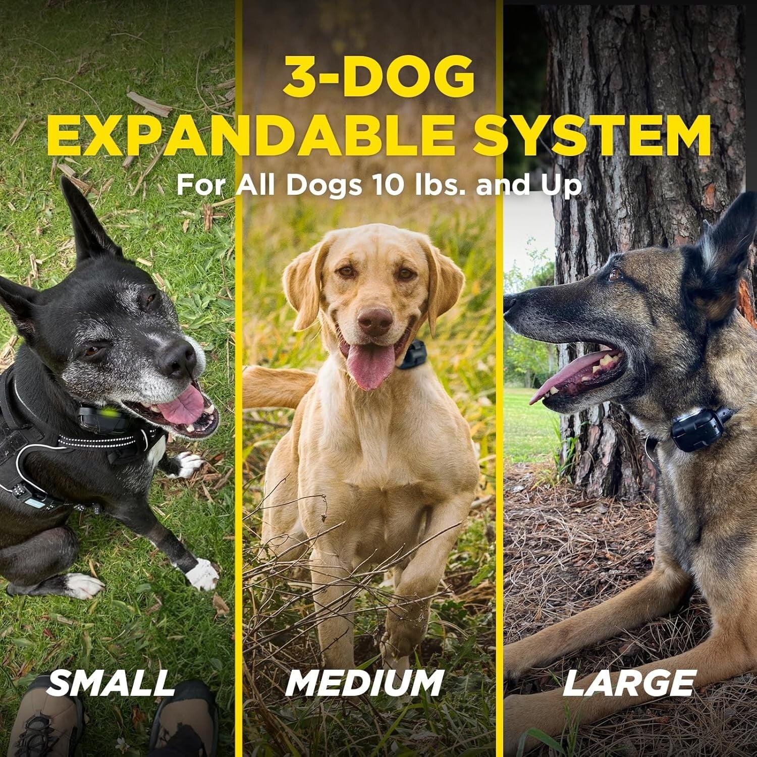 2-Dog E-Collar Remote Training System | Waterproof, Adjustable, 1/2 Mile Range