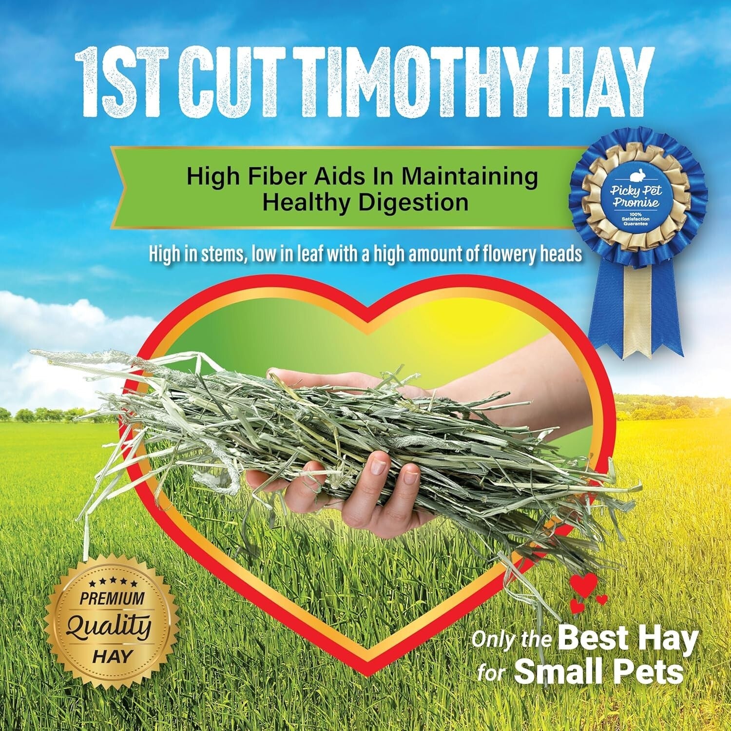 40 LB 1st Cut Timothy Hay Box - Ideal for Rabbits, Guinea Pigs and Small Animals