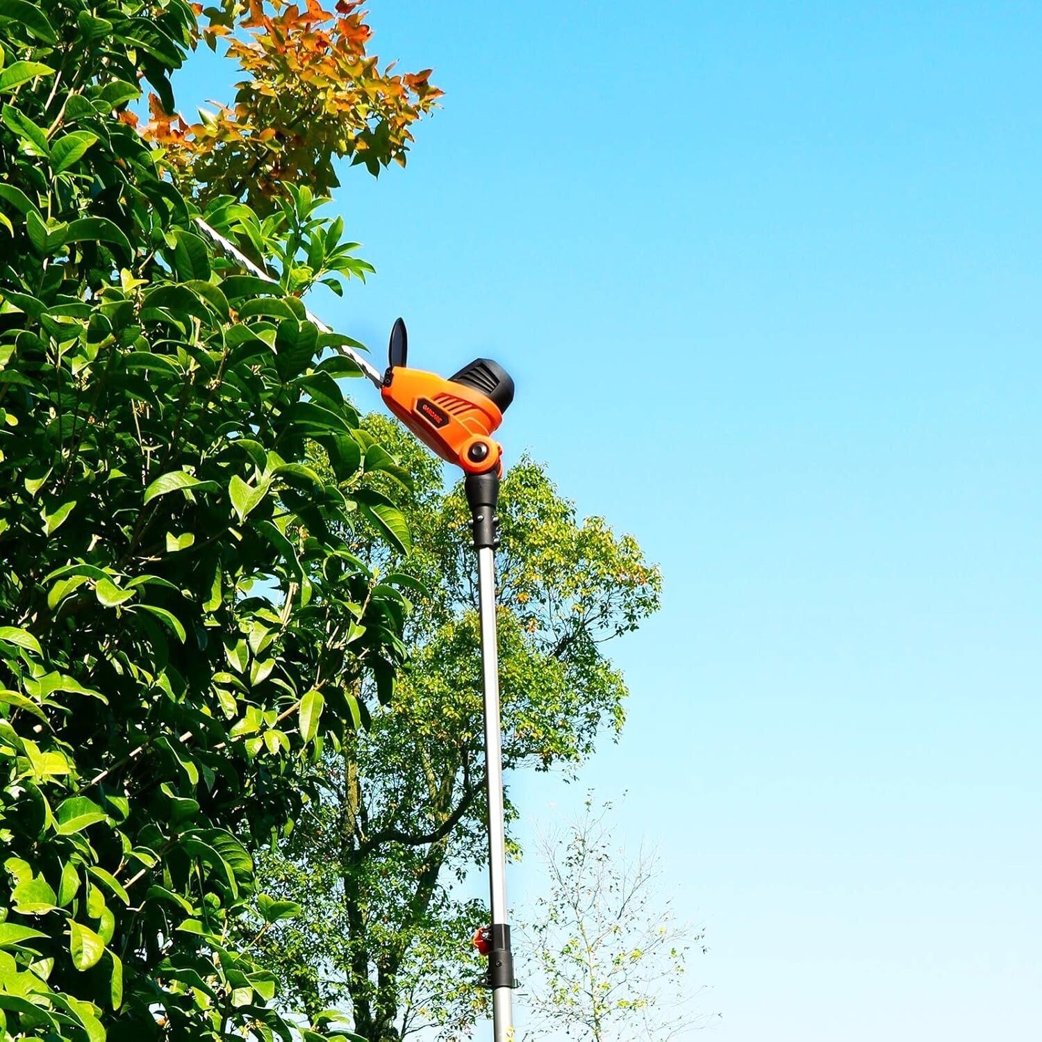 Extendable Electric Pole Hedge Trimmer - 600W Power, Safety Features Included