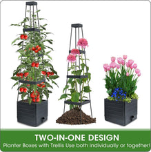 Load image into Gallery viewer, Self-Watering Tomato Planter with Adjustable Trellis - 2 Pack for Indoor/Outdoor