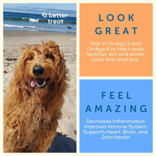 Load image into Gallery viewer, Sustainably Sourced Freeze Dried Salmon Treats - Healthy for Dogs of All Sizes