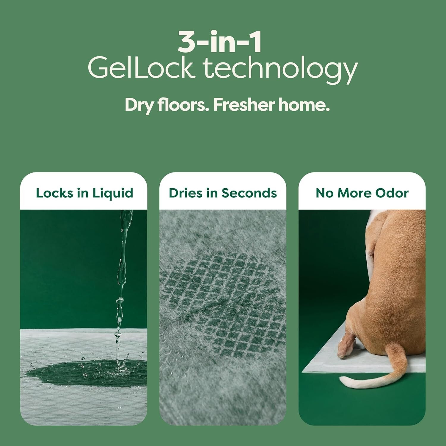 Odor-Blocking 3-in-1 Puppy Training Pads - Leak Proof & Fast Absorbency - 28x34