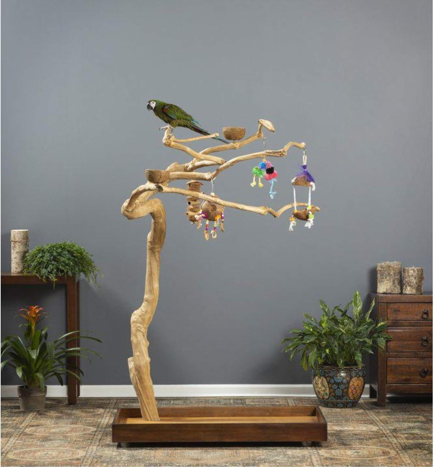 Medium Coffeewood Tree Playstand - Ideal for Cockatiels, Quakers, and Conures