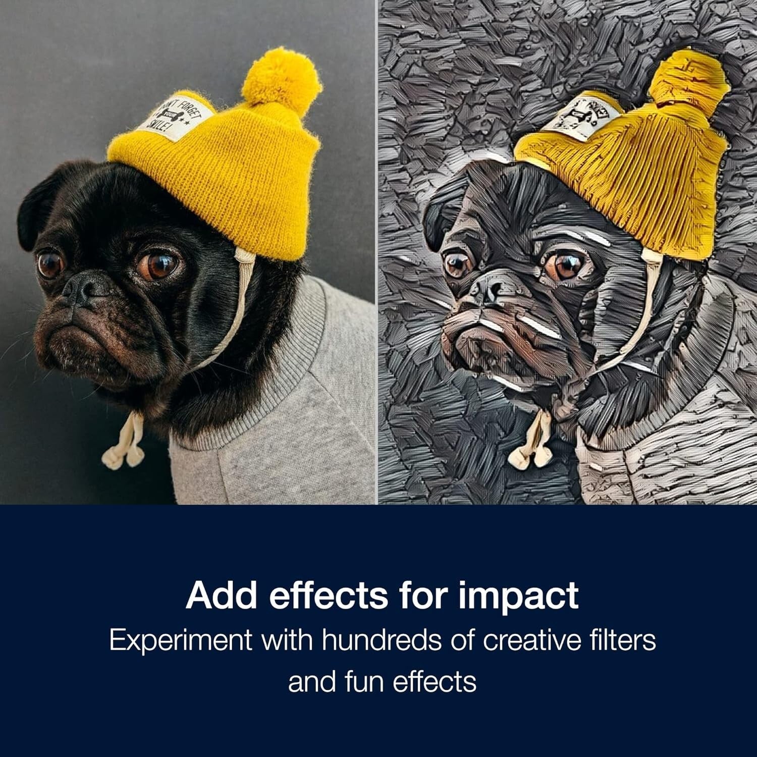 PaintShop Pro 2023 Ultimate Package with Creative Suite & Advanced Editing Tools