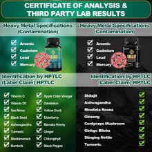 Load image into Gallery viewer, Holistic Vitality Set: Sea Moss &amp; Shilajit – 2 Bottles Packed with Nourishment