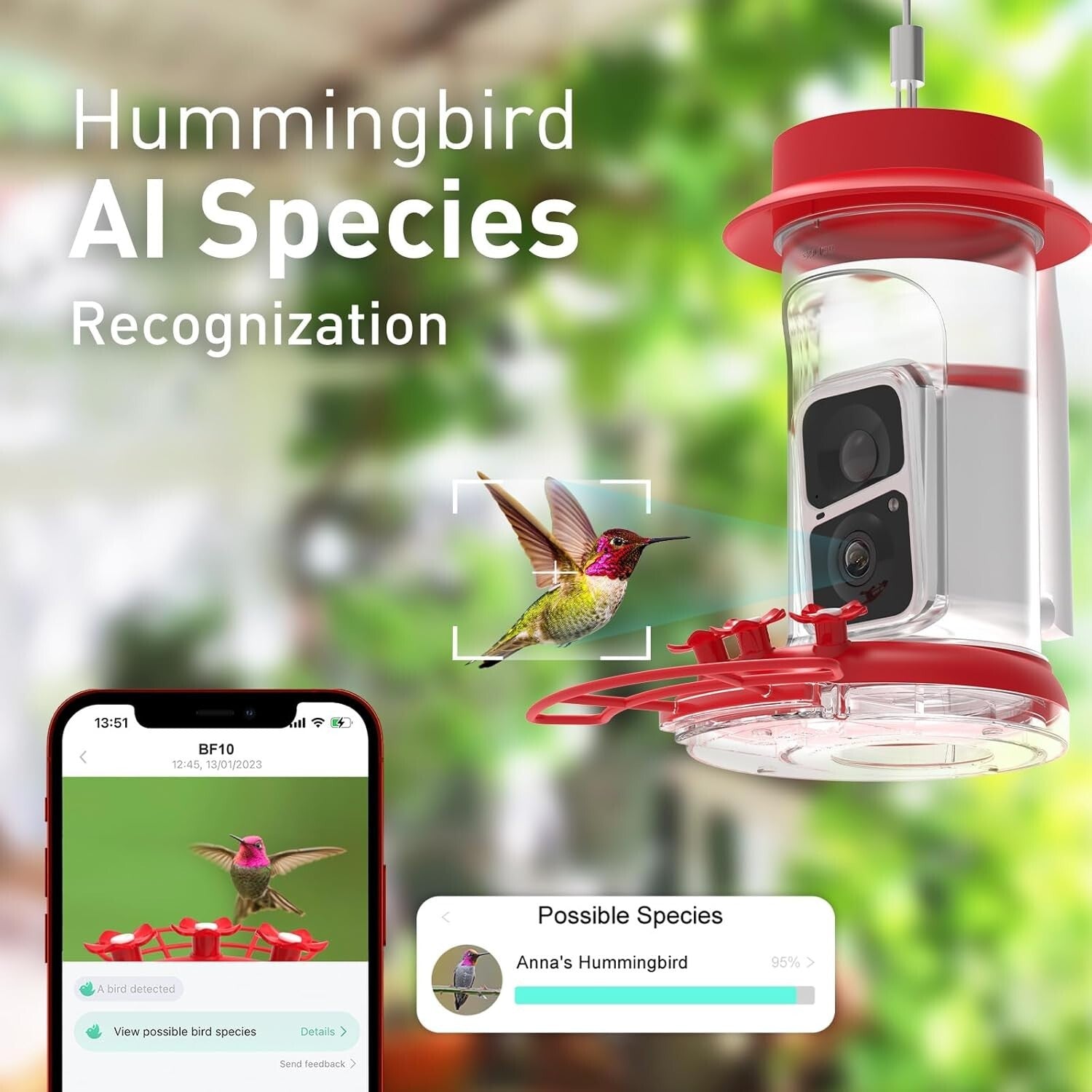 Bird Watching Camera Feeder with AI Species ID, Solar Power & Easy Clean Design